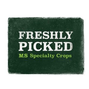 MSFreshlypicked